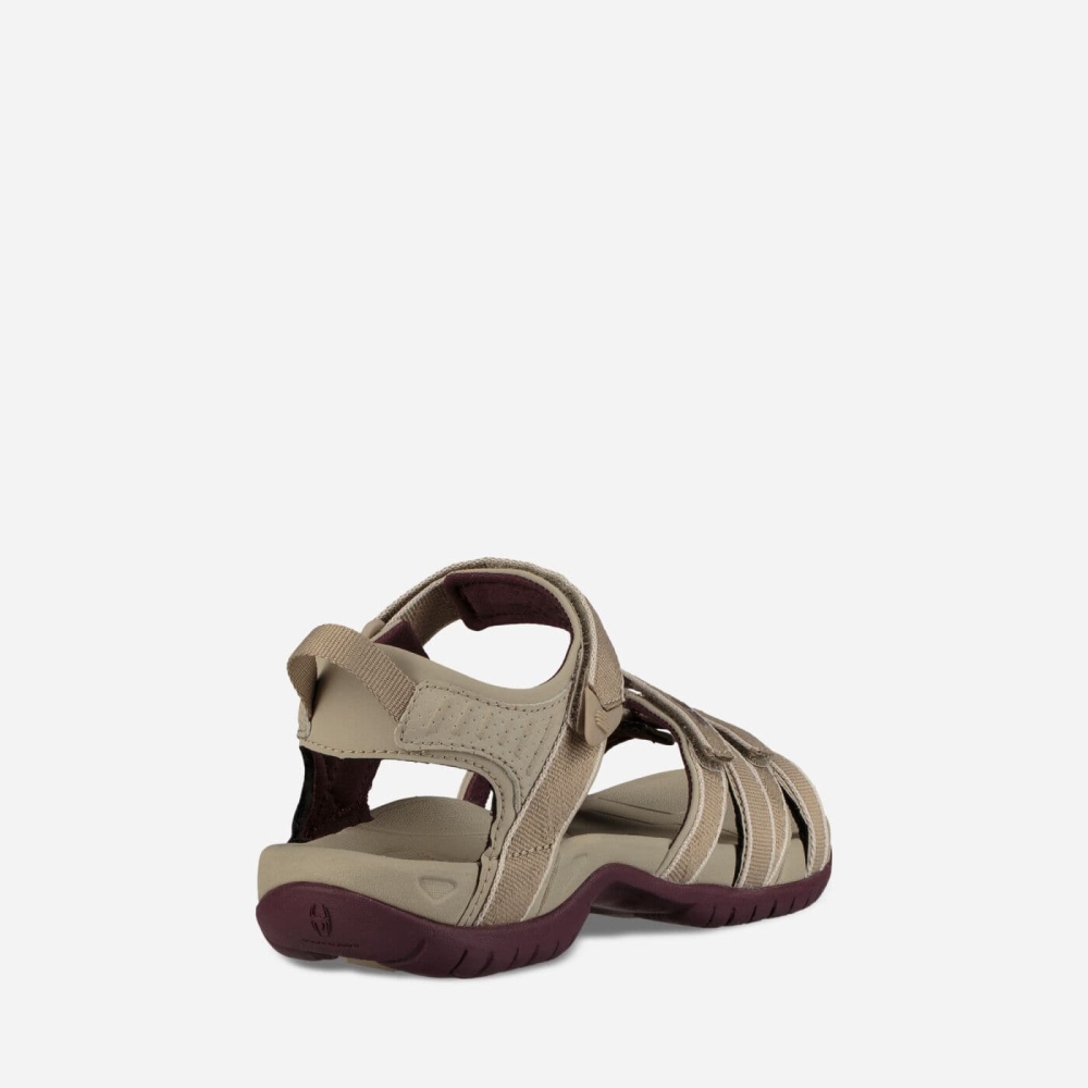 Beige Women's Teva Tirra Hiking Sandals | 409-QNUBJE