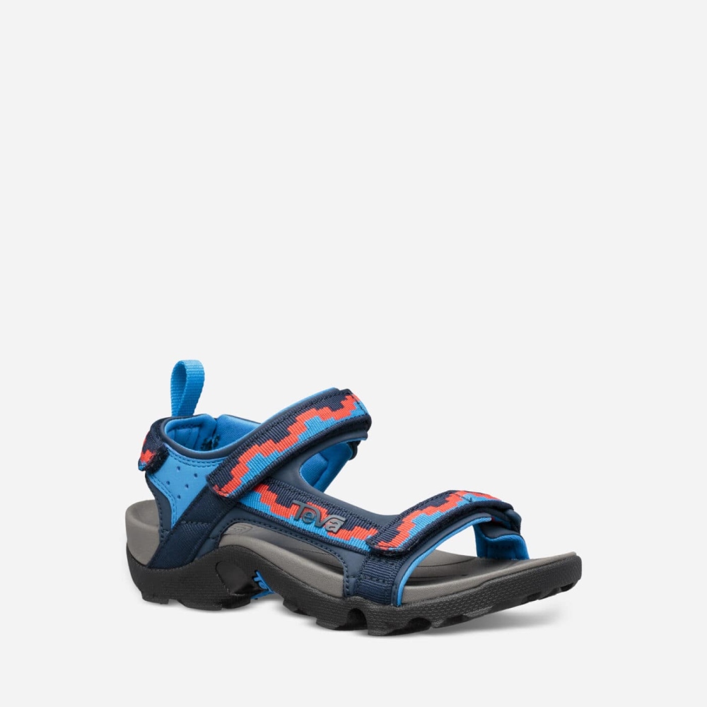 Blue Red Kids' Teva Tanza Hiking Sandals | 018-DZYVLN