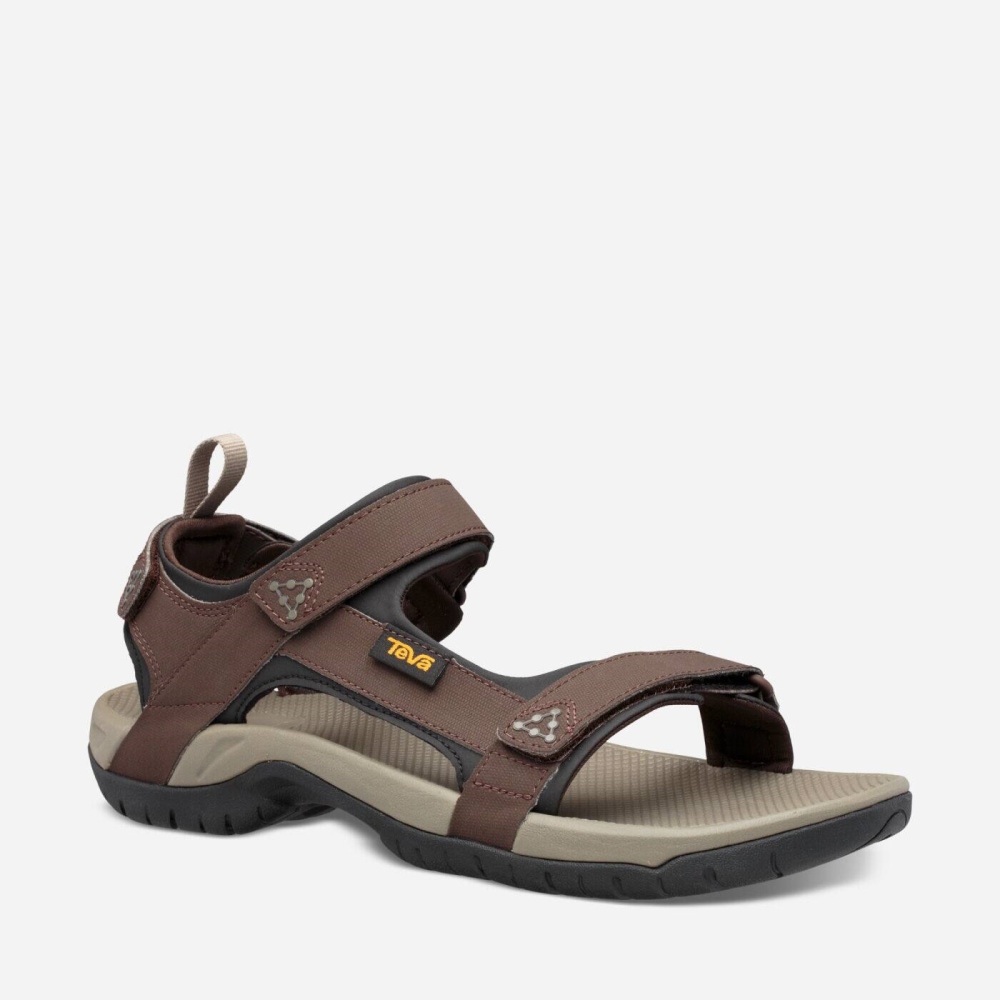 Chocolate Men's Teva Meacham Hiking Sandals | 631-DLIQYG