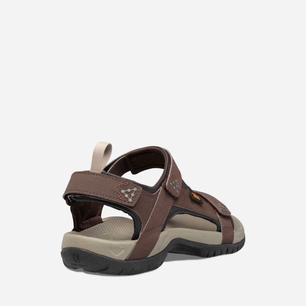 Chocolate Men's Teva Meacham Hiking Sandals | 631-DLIQYG