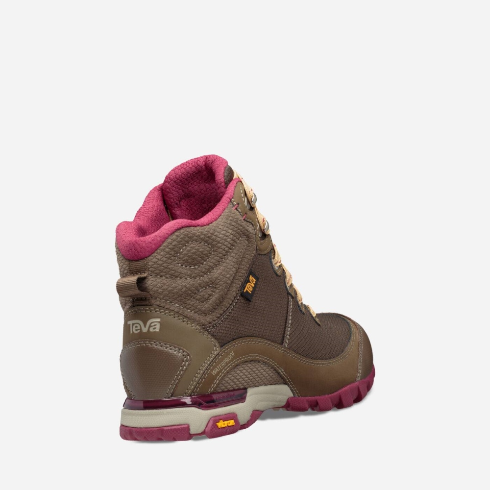 Chocolate Women's Teva Sugarpine Mid WP Boots | 318-CFMQAU