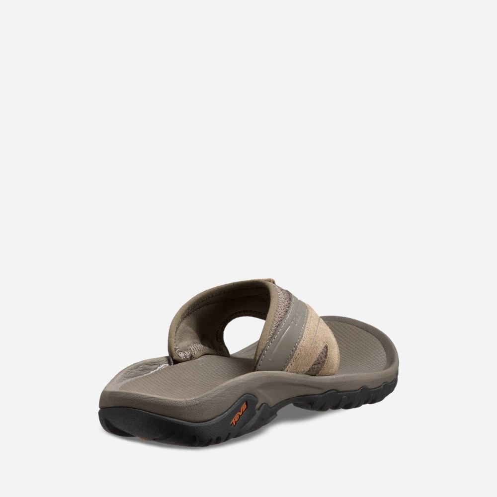 Coffee Men's Teva Pajaro Hiking Sandals | 024-GSOYHK