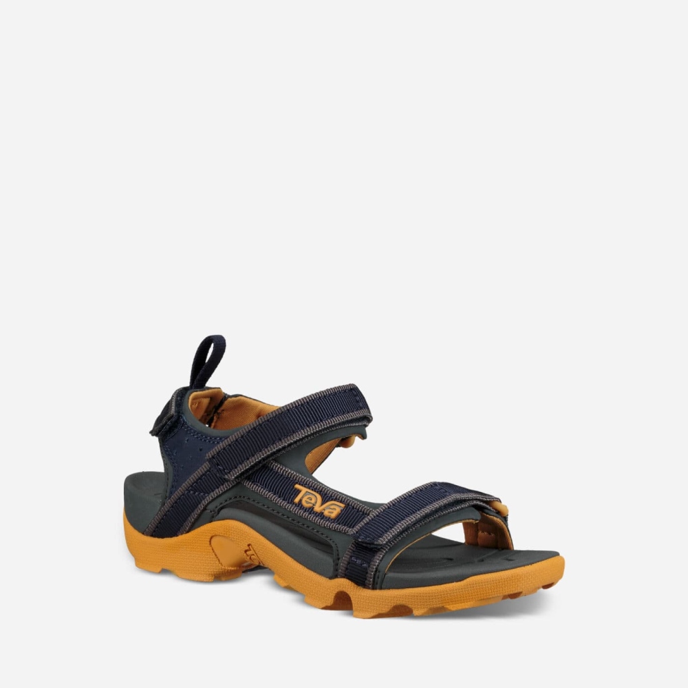 Grey Kids' Teva Tanza Hiking Sandals | 547-DUJXVW