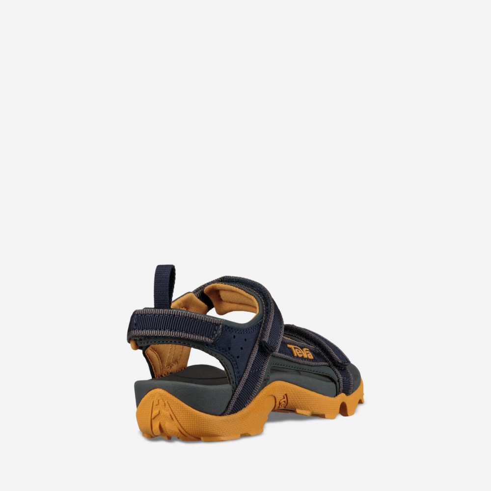 Grey Kids' Teva Tanza Hiking Sandals | 547-DUJXVW