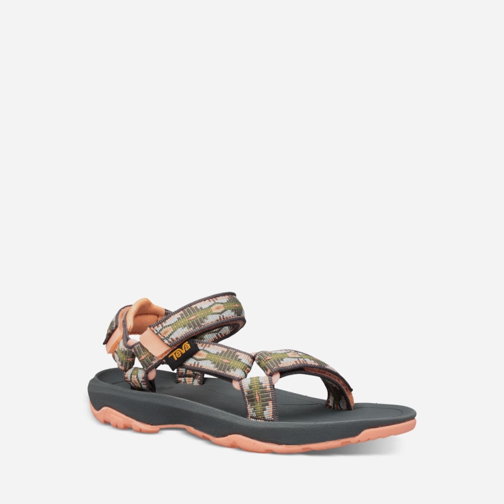 Grey Orange Kids' Teva Hurricane XLT2 Hiking Sandals | 253-FKPVQB