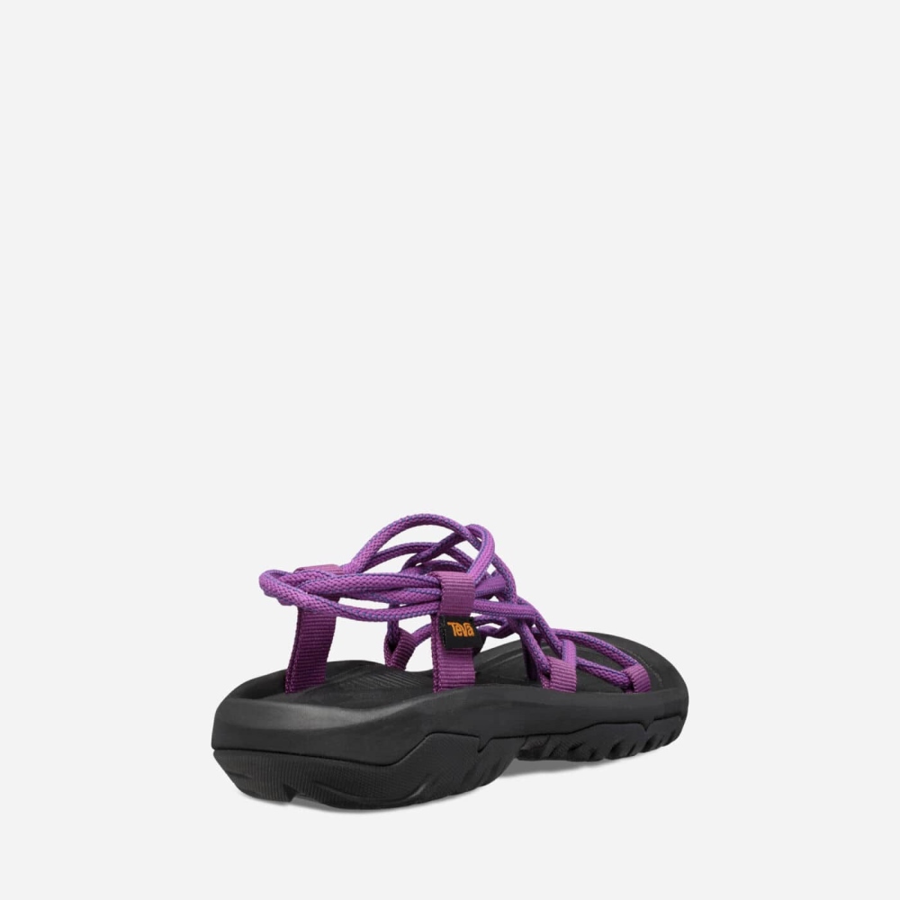 Purple Women's Teva Hurricane XLT Infinity Hiking Sandals | 713-BZYIJC