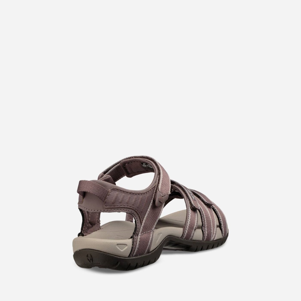 Purple Women's Teva Tirra Hiking Sandals | 469-SWBICF