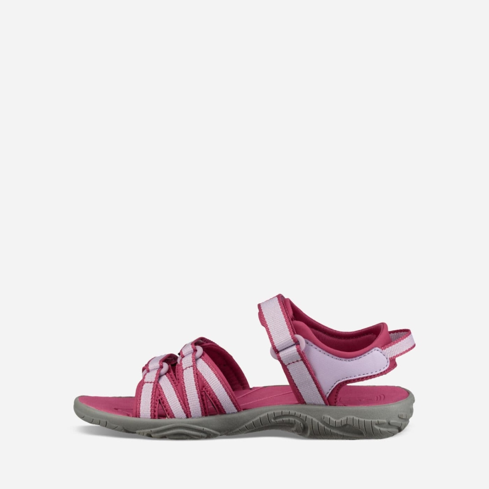 Rose Purple Kids' Teva Tirra Hiking Sandals | 159-DKTOYP