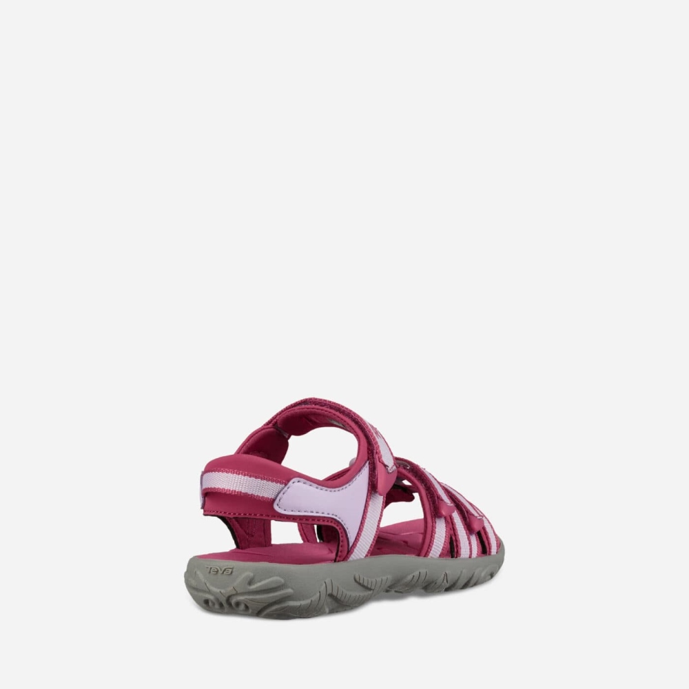 Rose Purple Kids' Teva Tirra Hiking Sandals | 159-DKTOYP