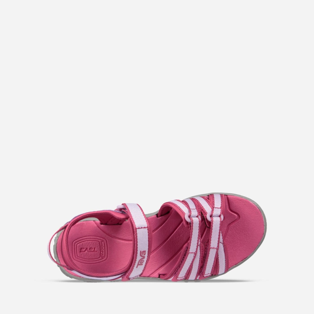 Rose Purple Kids' Teva Tirra Hiking Sandals | 159-DKTOYP