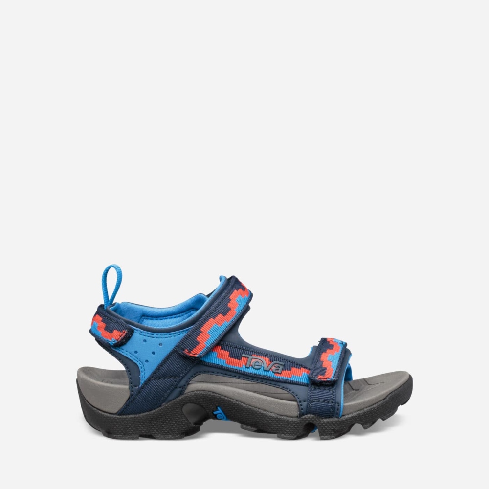 Blue Red Kids' Teva Tanza Hiking Sandals | 018-DZYVLN