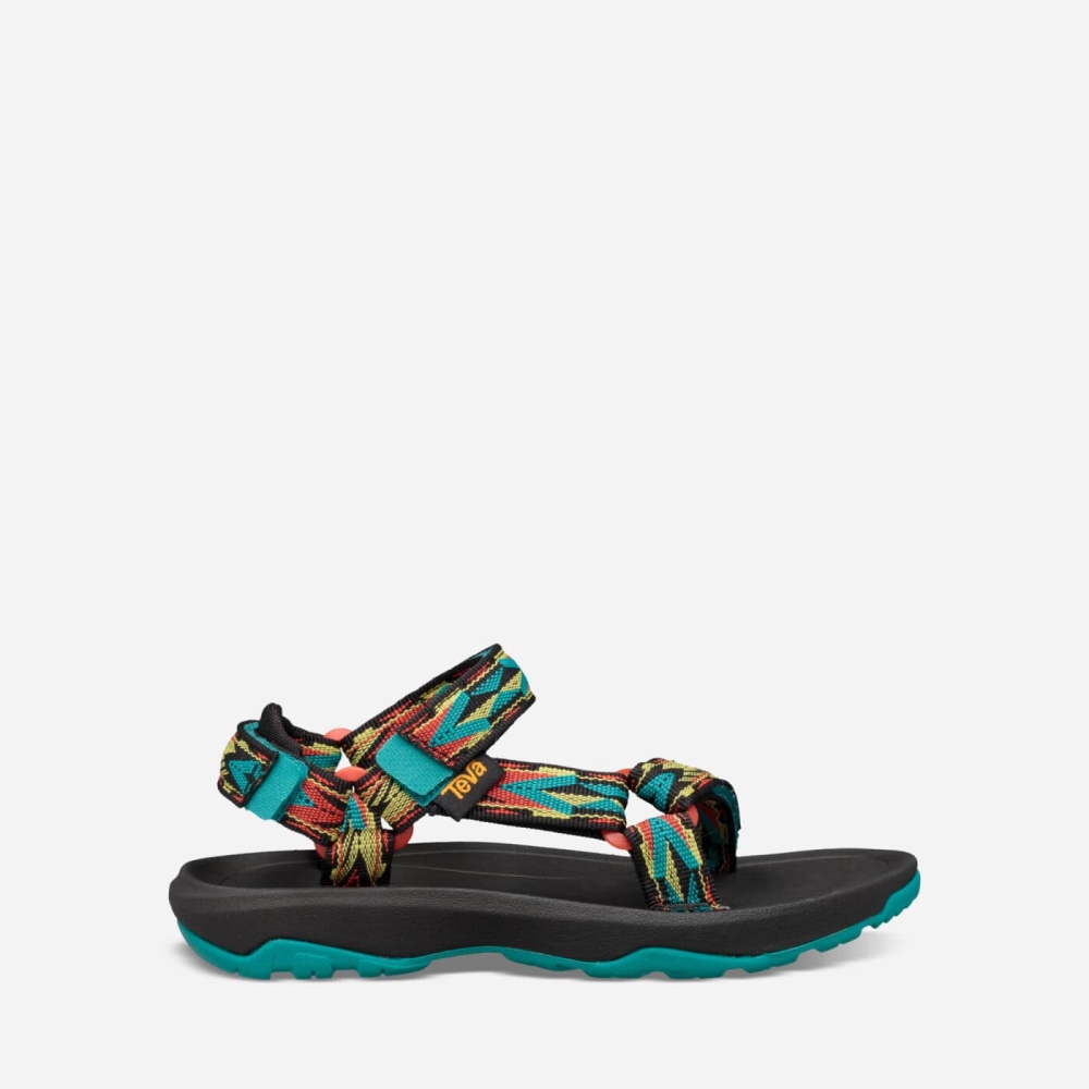 Multicolor Kids' Teva Hurricane XLT2 Hiking Sandals | 125-LESINV