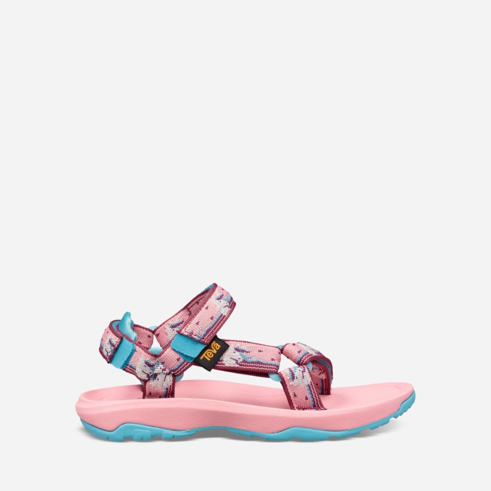 Pink Kids' Teva Hurricane XLT2 Hiking Sandals | 781-QNHCIV