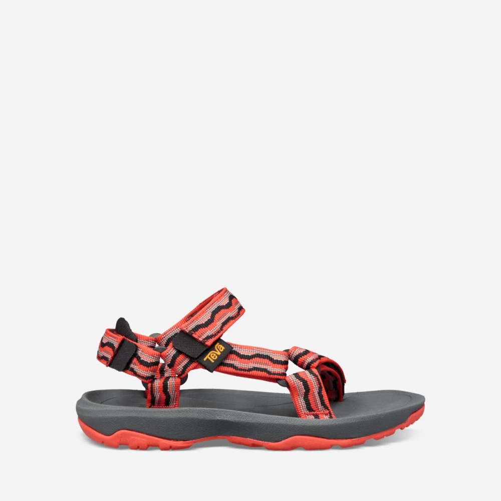 Red Kids' Teva Hurricane XLT2 Hiking Sandals | 351-DWAQBV